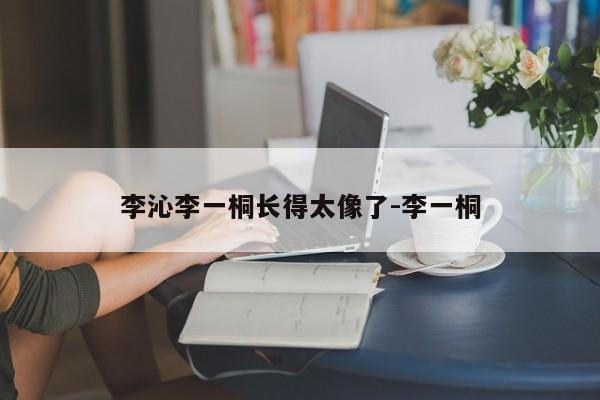 李沁李一桐长得太像了-李一桐