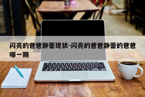 闪亮的爸爸静蕾现状-闪亮的爸爸静蕾的爸爸哪一期