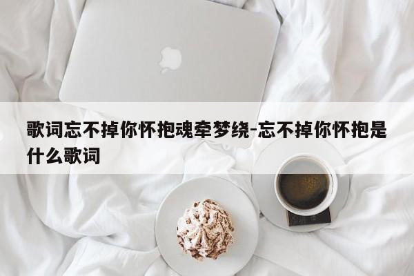 歌词忘不掉你怀抱魂牵梦绕-忘不掉你怀抱是什么歌词