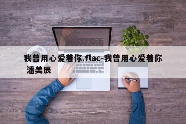 我曾用心爱着你.flac-我曾用心爱着你 潘美辰