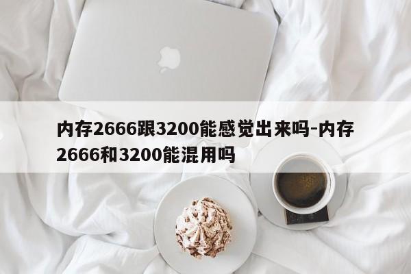 内存2666跟3200能感觉出来吗-内存2666和3200能混用吗