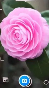 智慧随身行工具app安卓版图片1