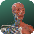 万康人体解剖app