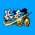 暴走忍者游戏下载正式版 v1.0