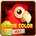 小鸟色彩分类游戏手机版下载 v0.3