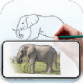 draw trace sketch app