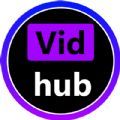 Vidhub视频app
