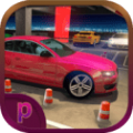 驾考模拟停车达人游戏下载安卓版 v1.0