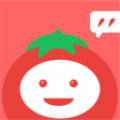 番茄漫画板app