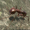 3d蚂蚁模拟器游戏手机版下载 v3.3.4