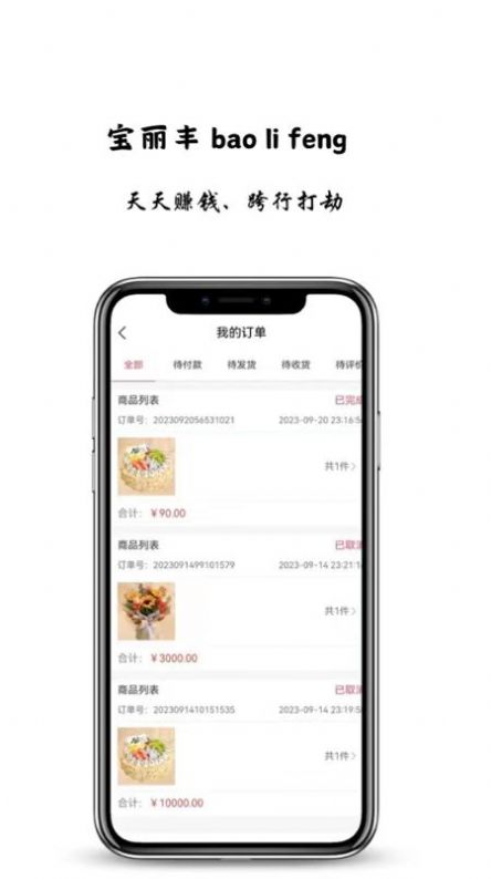 宝丽丰购物app手机版图片1