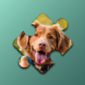 宠物狗狗的拼图挑战游戏手机版下载 v0.7.1