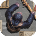 黑猩猩潜行暗杀游戏下载中文版 v1.0.0