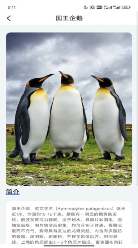 企鹅妙看app官方版图片1