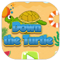 海滩上的乌龟挑战游戏手机版下载 v1.0