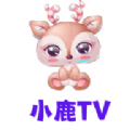 小鹿TV app