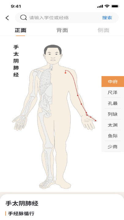 泰邦针灸选穴软件免费版app图片1