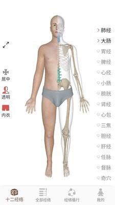 经络穴位3D