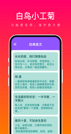 白鸟小工菊