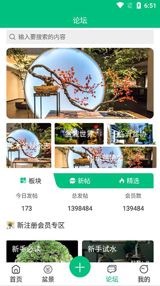 爱盆景