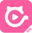 新版猫咪免费直播APP