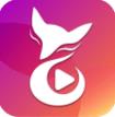 小狐狸精品社区直播APP