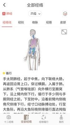 经络穴位3D
