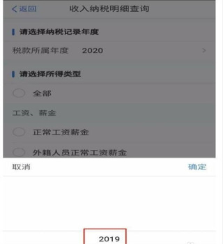 自然人电子税务局个人工资查询方法