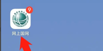 网上国网