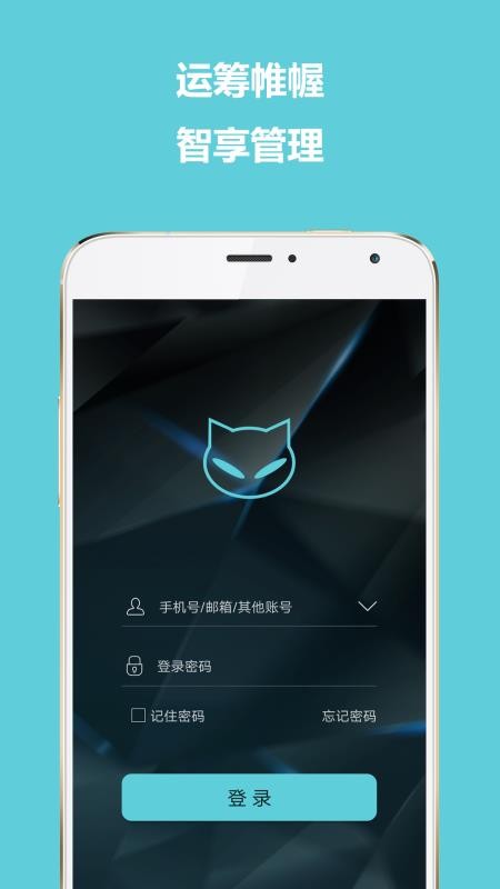 智慧猫