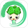 白菜挖app