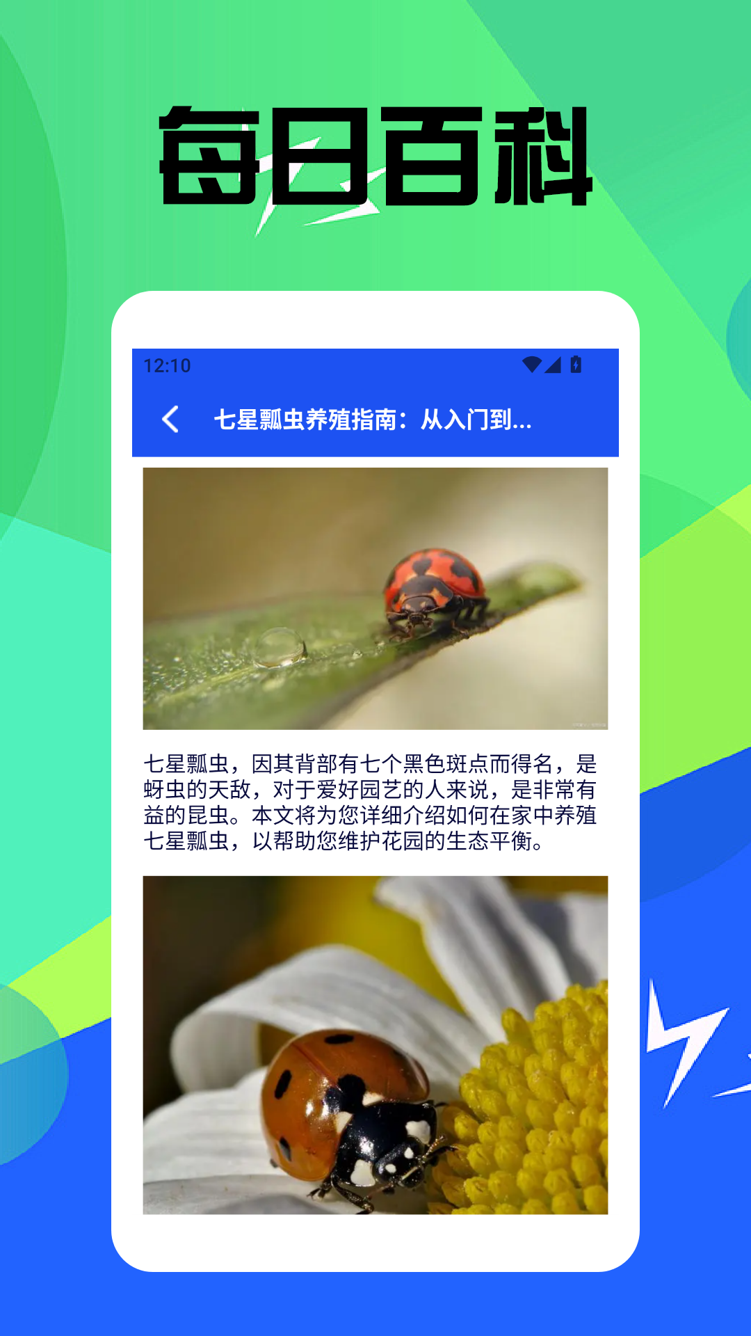 虫虫趣玩
