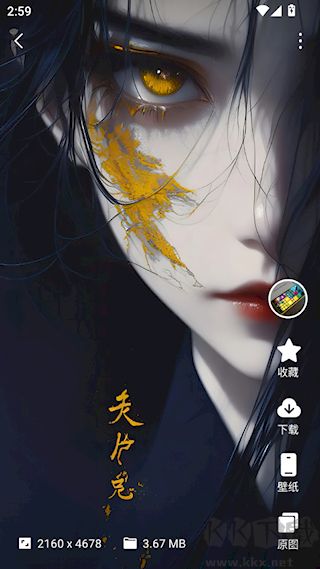 汽水壁纸安卓版