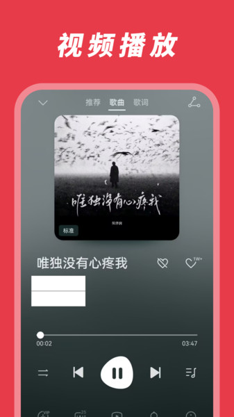 视频看片