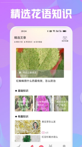 花语秀