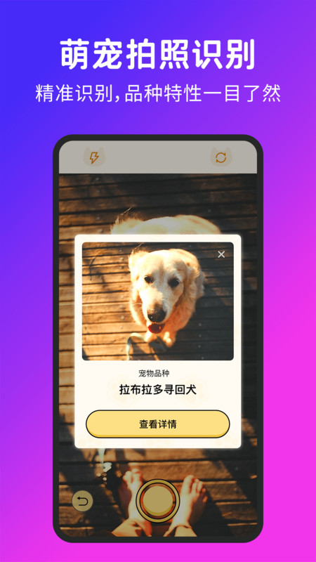 喵汪宠物猫狗翻译器