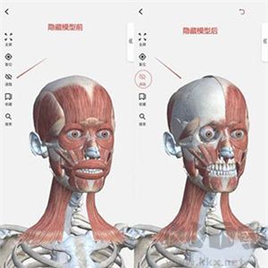 使用教程截图3
