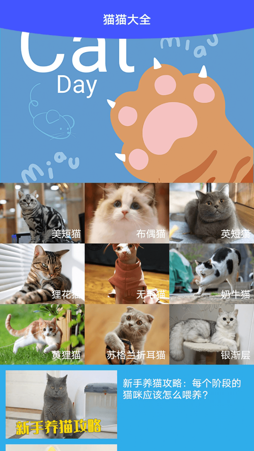 我家猫舍盒子